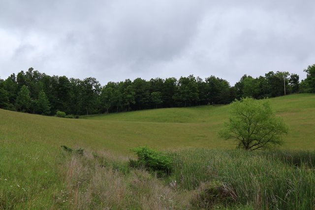 4135 Big Andy Ridge Road Tract 1, Rogers, KY 41365