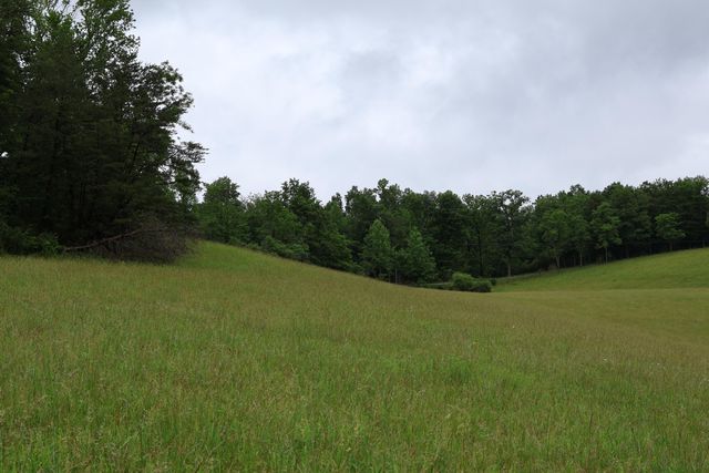 4135 Big Andy Ridge Road Tract 1, Rogers, KY 41365