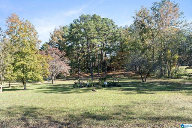 2945 MOUNT OLIVE ROAD, Mount Olive, AL 35117