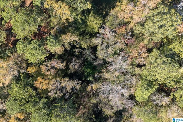 2945 MOUNT OLIVE ROAD, Mount Olive, AL 35117