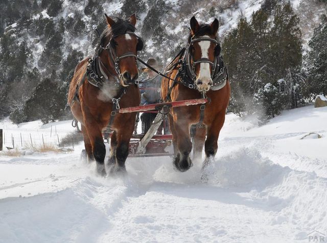 33822 Fisher Peak Pkwy, Trinidad, CO 81082