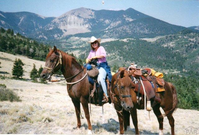 33822 Fisher Peak Pkwy, Trinidad, CO 81082