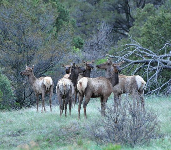 33822 Fisher Peak Pkwy, Trinidad, CO 81082