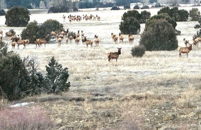 33822 Fisher Peak Pkwy, Trinidad, CO 81082