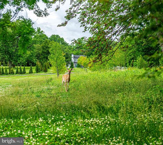 5871 DUNCAN DR, Ellicott City, MD 21043