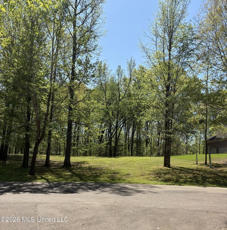 13909 Valley Oaks Drive, Olive Branch, MS 38654 — exterior