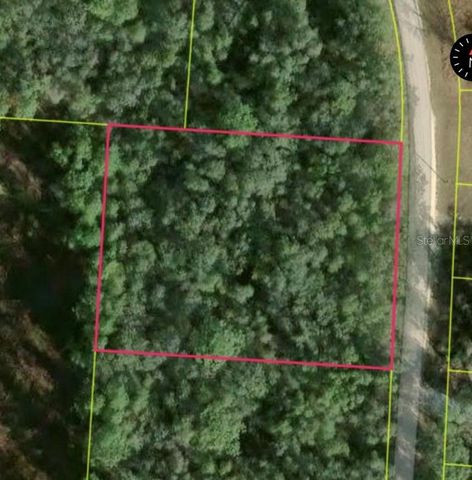 34253 BERRYHILL DRIVE, Webster, FL 33597