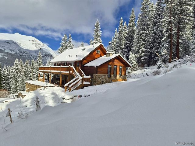 232 Goldfinch Place, Alma, CO 80420