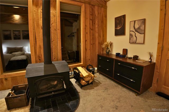 232 Goldfinch Place, Alma, CO 80420