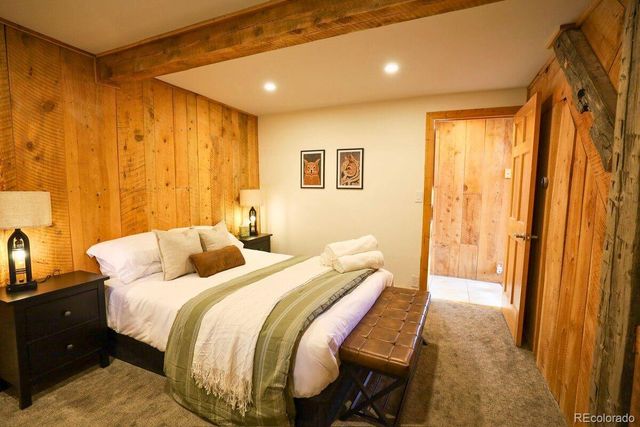 232 Goldfinch Place, Alma, CO 80420