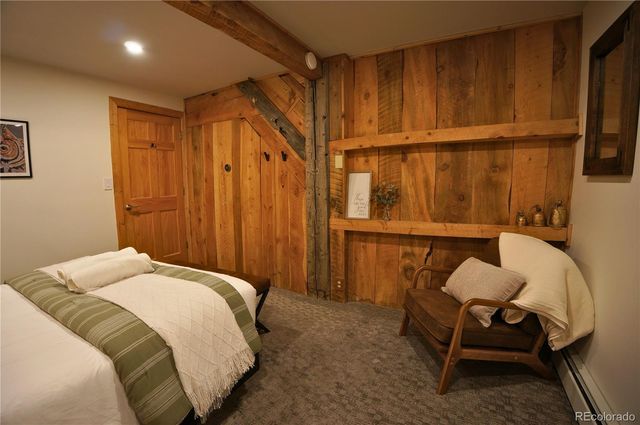 232 Goldfinch Place, Alma, CO 80420