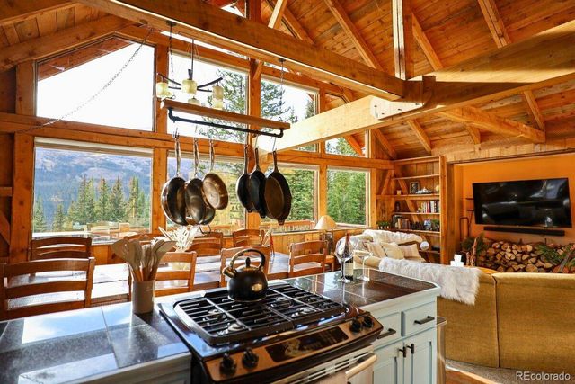 232 Goldfinch Place, Alma, CO 80420
