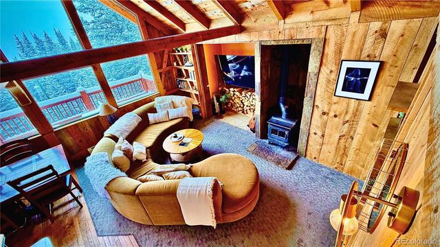 232 Goldfinch Place, Alma, CO 80420
