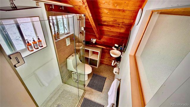 232 Goldfinch Place, Alma, CO 80420