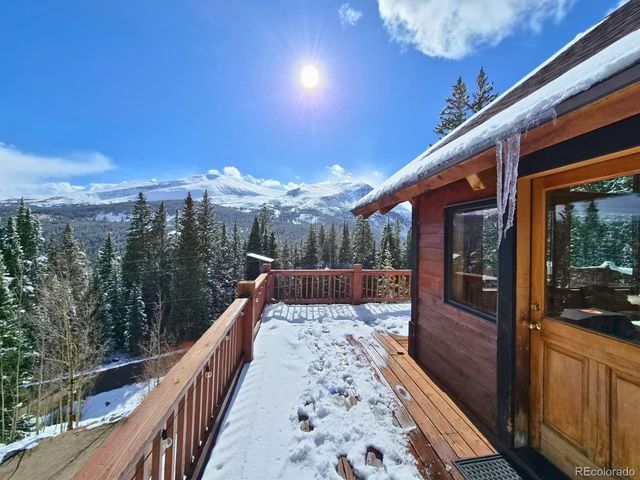 232 Goldfinch Place, Alma, CO 80420