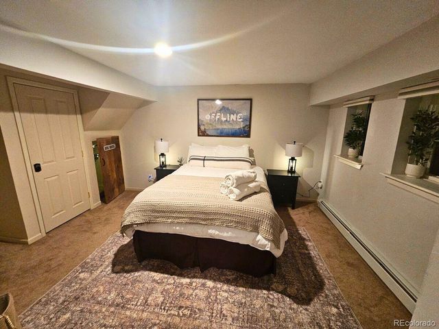 232 Goldfinch Place, Alma, CO 80420