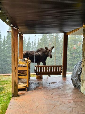 232 Goldfinch Place, Alma, CO 80420