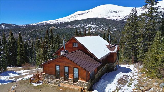 232 Goldfinch Place, Alma, CO 80420