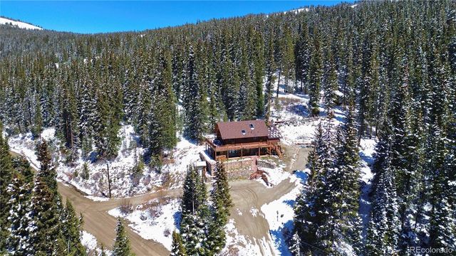232 Goldfinch Place, Alma, CO 80420