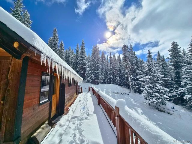 232 Goldfinch Place, Alma, CO 80420