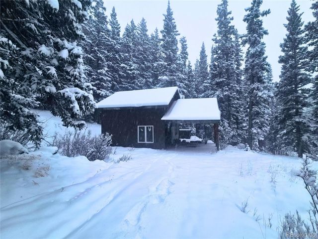 232 Goldfinch Place, Alma, CO 80420