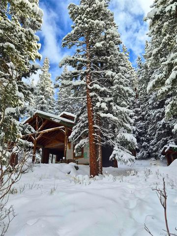 232 Goldfinch Place, Alma, CO 80420