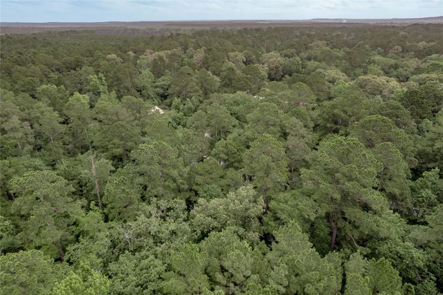 Lot 08 Oak Drive, Trinity, TX 75862