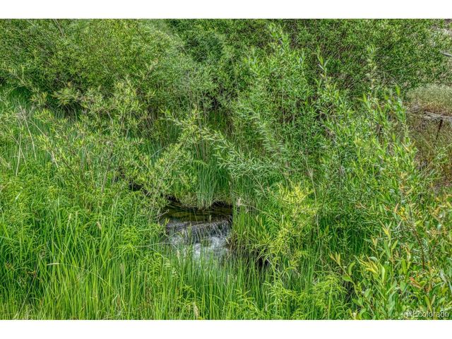 11398 County Road 302, Buena Vista, CO 81211