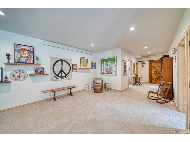 11398 County Road 302, Buena Vista, CO 81211