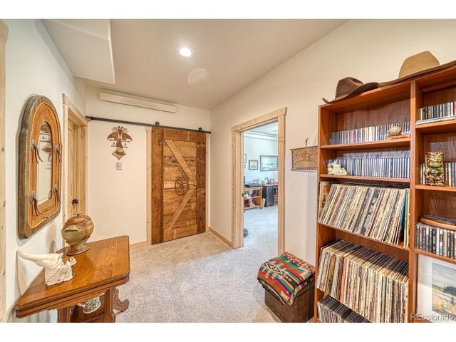 11398 County Road 302, Buena Vista, CO 81211