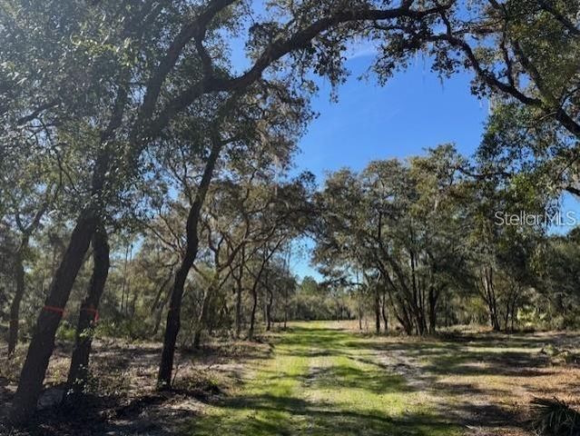 NE 150TH AVE ROAD LOT 1, Fort Mc Coy, FL 32134