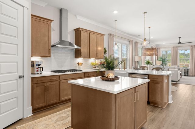 320 Trailmore Lane, Summerville, SC 29486