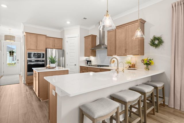 320 Trailmore Lane, Summerville, SC 29486