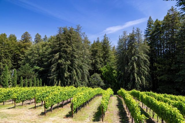 4300 Soquel Drive 204, Soquel, CA 95073