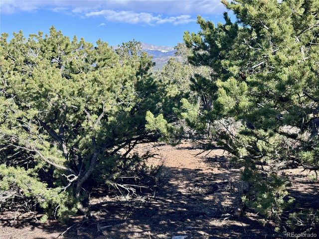 Lot 3292 Geneen Road, Fort Garland, CO 81133