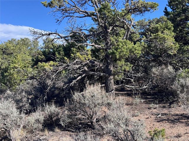 Lot 3292 Geneen Road, Fort Garland, CO 81133