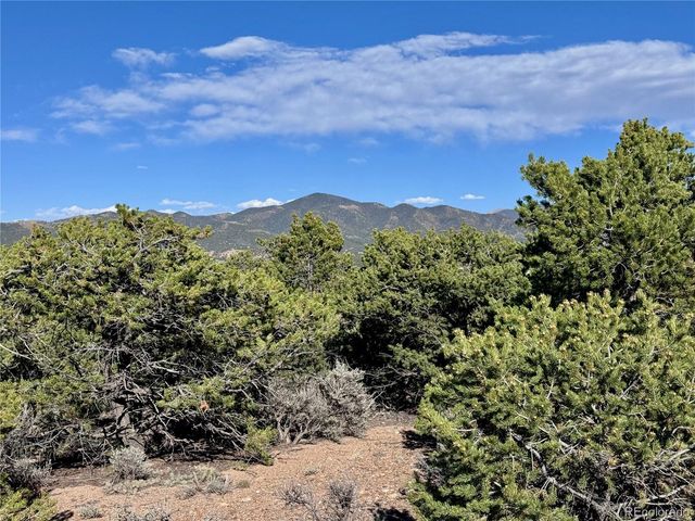 Lot 3292 Geneen Road, Fort Garland, CO 81133
