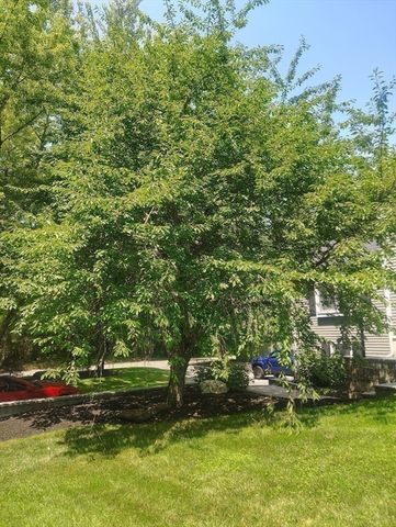 6 Forest Street, Raynham, MA 02767