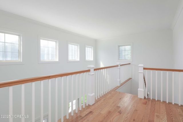 1 Clifford Graves Court, Red Bank, NJ 07701