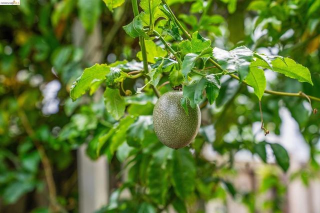 2761 2761 Martin Luther King Jr Ave, Richmond, CA 94804