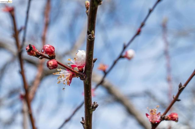 2761 2761 Martin Luther King Jr Ave, Richmond, CA 94804