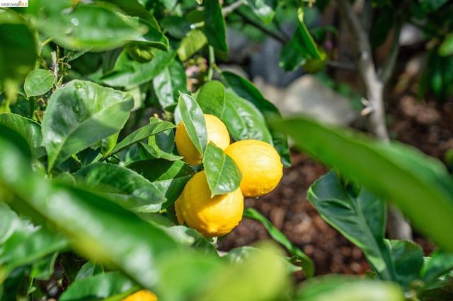 2761 2761 Martin Luther King Jr Ave, Richmond, CA 94804