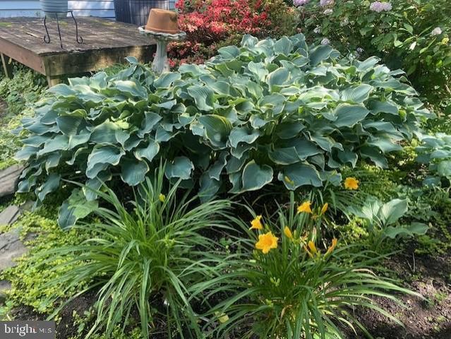 3814 ELBERT AVE, Alexandria, VA 22305