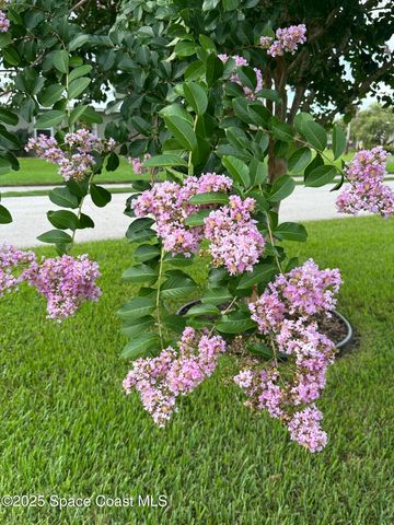 1100 S Riverside Drive, Edgewater, FL 32132