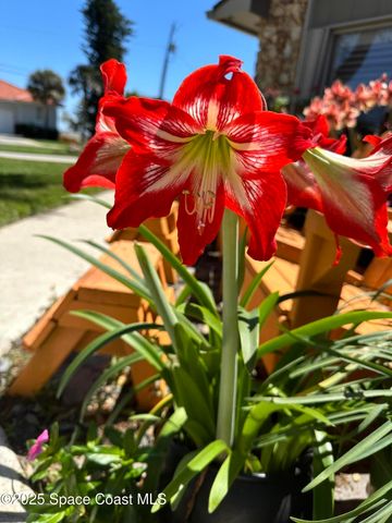 1100 S Riverside Drive, Edgewater, FL 32132