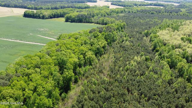 Off Speights Chapel Road, Whitakers, NC 27891