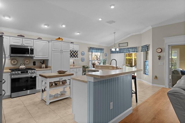 491 HARLOW LANE, The Villages, FL 32163