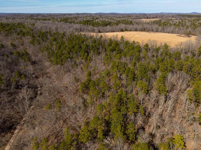000 County Road 179, Dora, MO 65637
