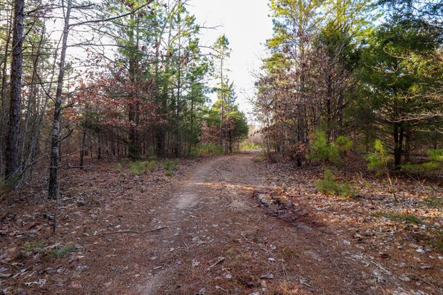 000 County Road 179, Dora, MO 65637