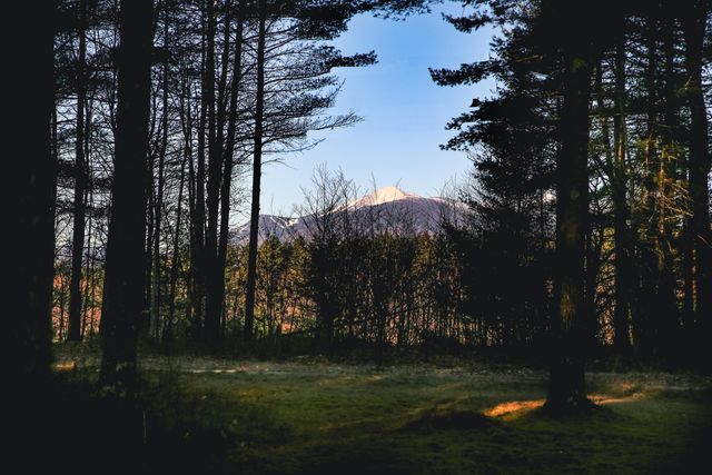 205 River Road, Jay, NY 12941